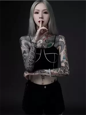 卧龙就是汉献帝