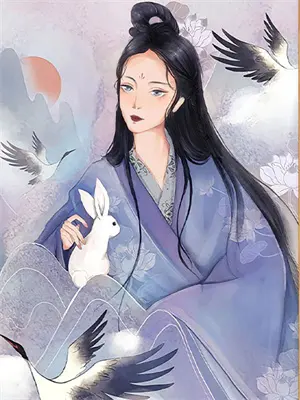 星尘絮语