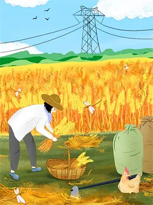 双十一忍不住买买买